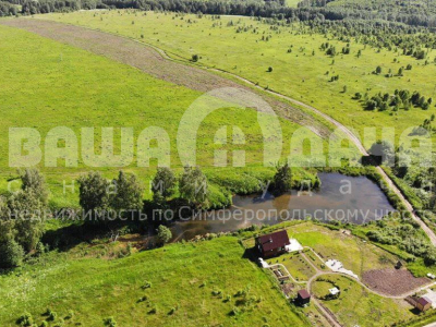 Домнино Домнино