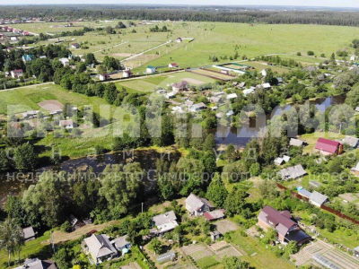 Домнино Домнино