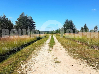 Домнино Домнино