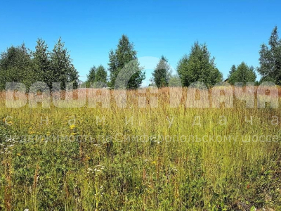 Домнино Домнино