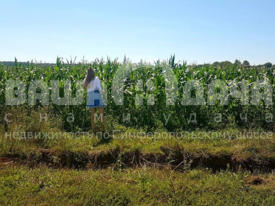 Домнино Домнино