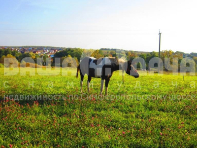 Домнино Домнино