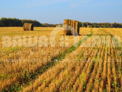 Домнино Домнино