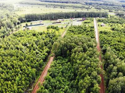 Дятлово Дятлово