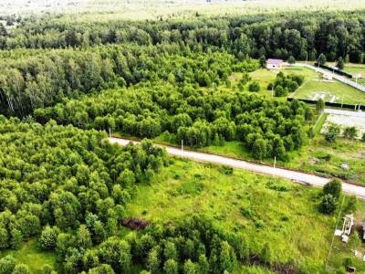 Дятлово Дятлово