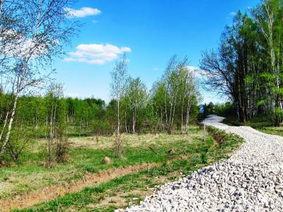 Дятлово Дятлово