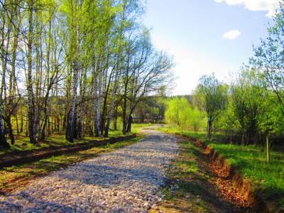 Дятлово Дятлово