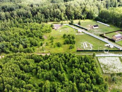 Дятлово Дятлово