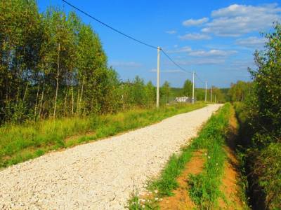 Дятлово Дятлово