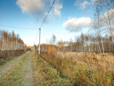 Тетерево-3 Тетерево-3