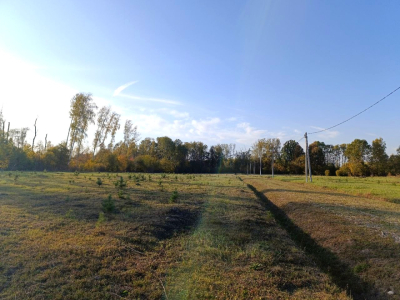 Тетерево-3 Тетерево-3