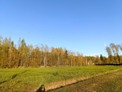 Тетерево-3 Тетерево-3