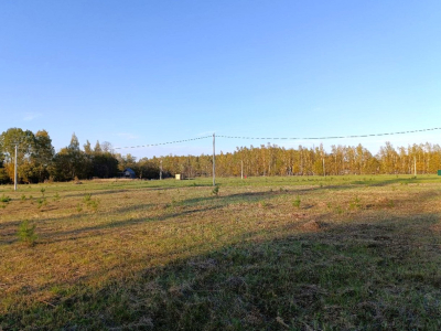 Тетерево-3 Тетерево-3