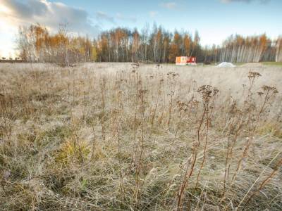 Тетерево-3 Тетерево-3