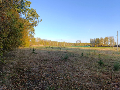 Тетерево-3 Тетерево-3