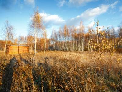 Тетерево-3 Тетерево-3