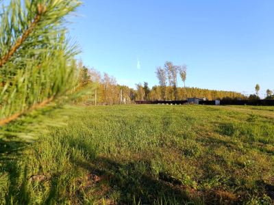 Тетерево-3 Тетерево-3