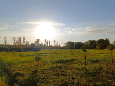 Тетерево-3 Тетерево-3