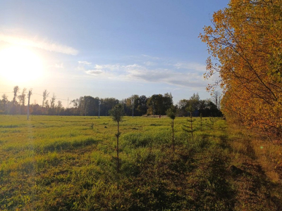 Тетерево-3 Тетерево-3