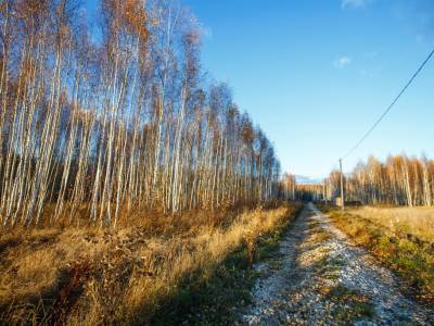 Тетерево-3 Тетерево-3