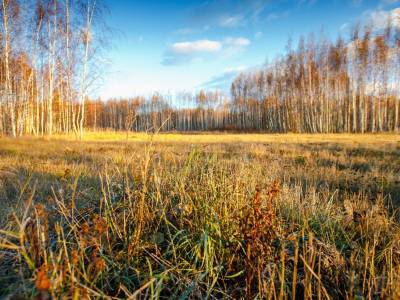 Тетерево-3 Тетерево-3