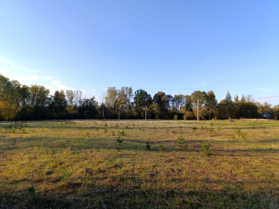 Тетерево-3 Тетерево-3