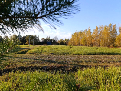 Тетерево-3 Тетерево-3