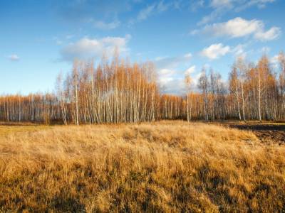 Тетерево-3 Тетерево-3