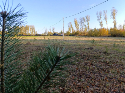 Тетерево-3 Тетерево-3