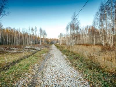 Тетерево-3 Тетерево-3