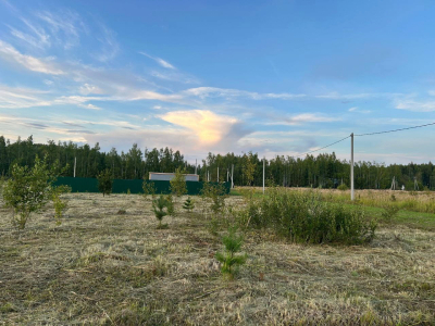 Тетерево-3 Тетерево-3