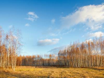 Тетерево-3 Тетерево-3