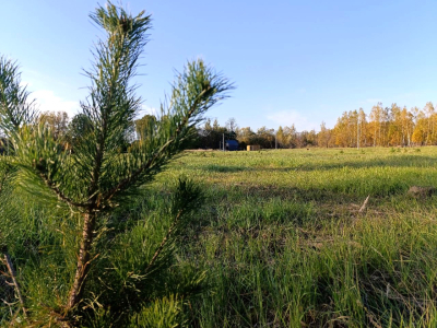 Тетерево-3 Тетерево-3