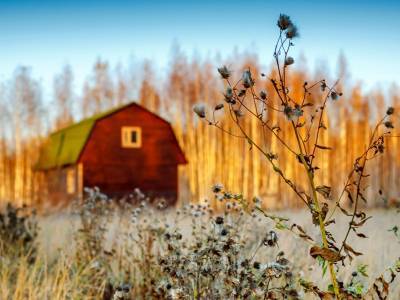 Тетерево-3 Тетерево-3