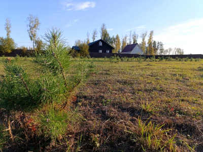 Тетерево-3 Тетерево-3