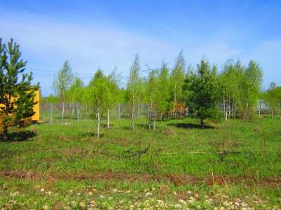 Русятино 2 Русятино 2