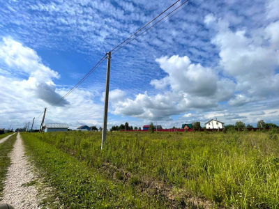 Васильково Васильково