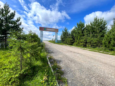 Васильково Васильково