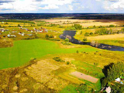 Васильково Васильково