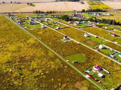 Васильково Васильково