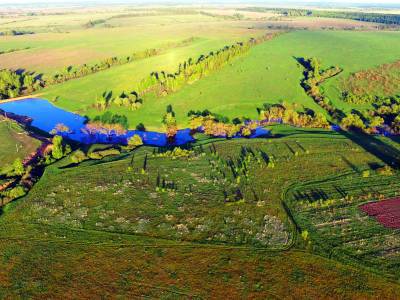 Васильково Васильково