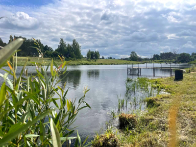 Васильково Васильково