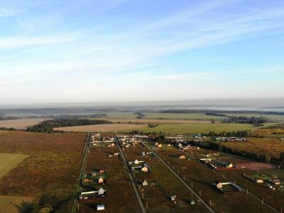 Васильково Васильково