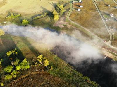 Васильково Васильково