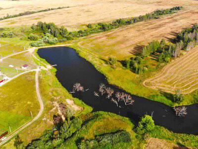 Васильково Васильково