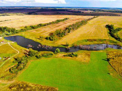 Васильково Васильково