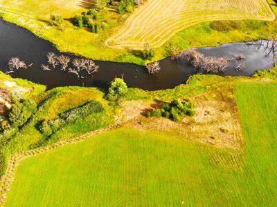 Васильково Васильково