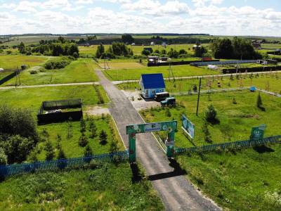 Васильково Васильково