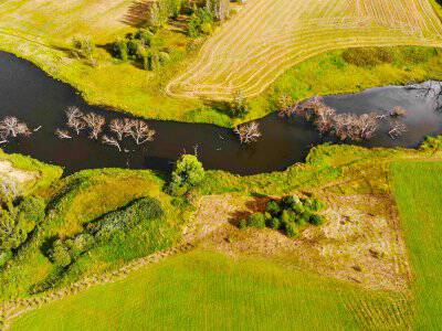 Васильково Васильково