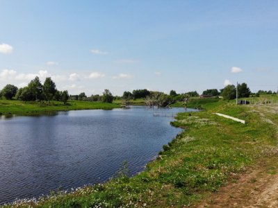 Васильково Васильково